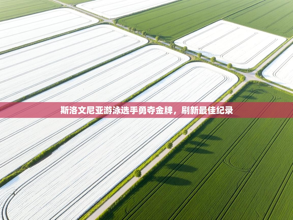 斯洛文尼亚游泳选手勇夺金牌,刷新最佳纪录 第1张