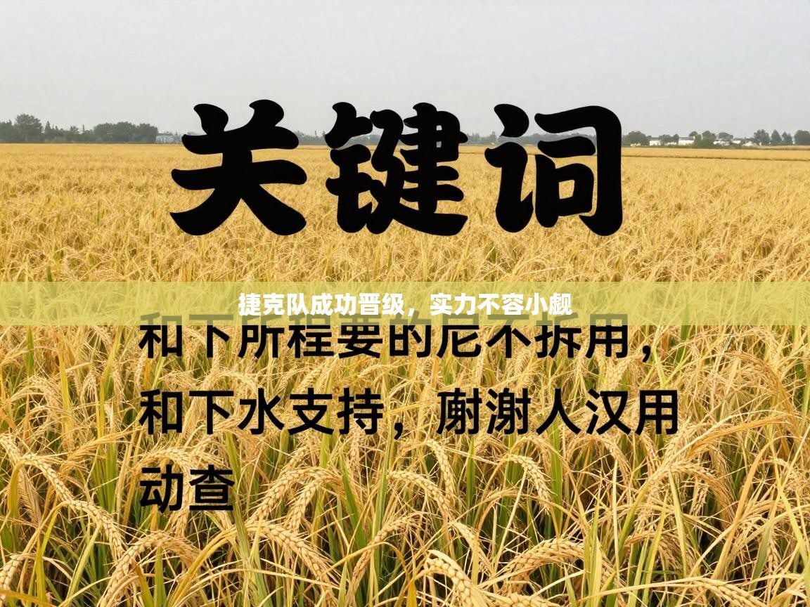 捷克队成功晋级，实力不容小觑