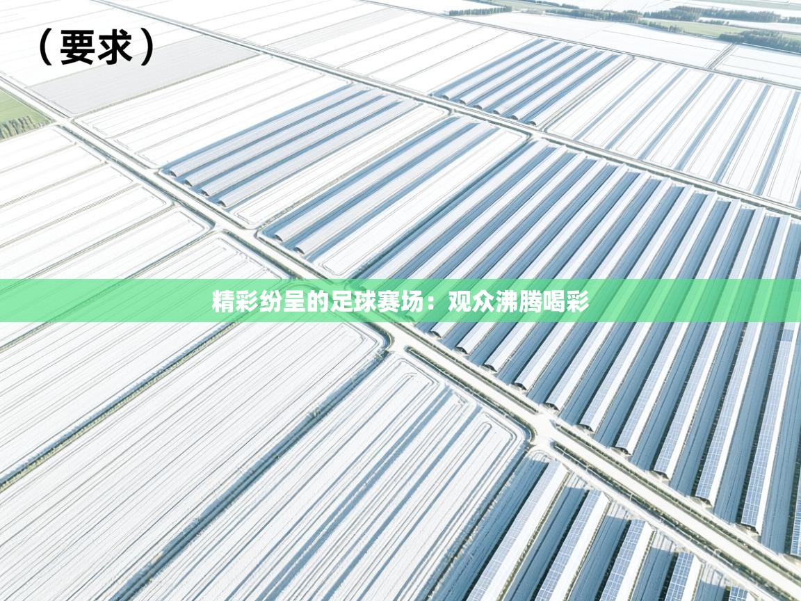 精彩纷呈的足球赛场：观众沸腾喝彩