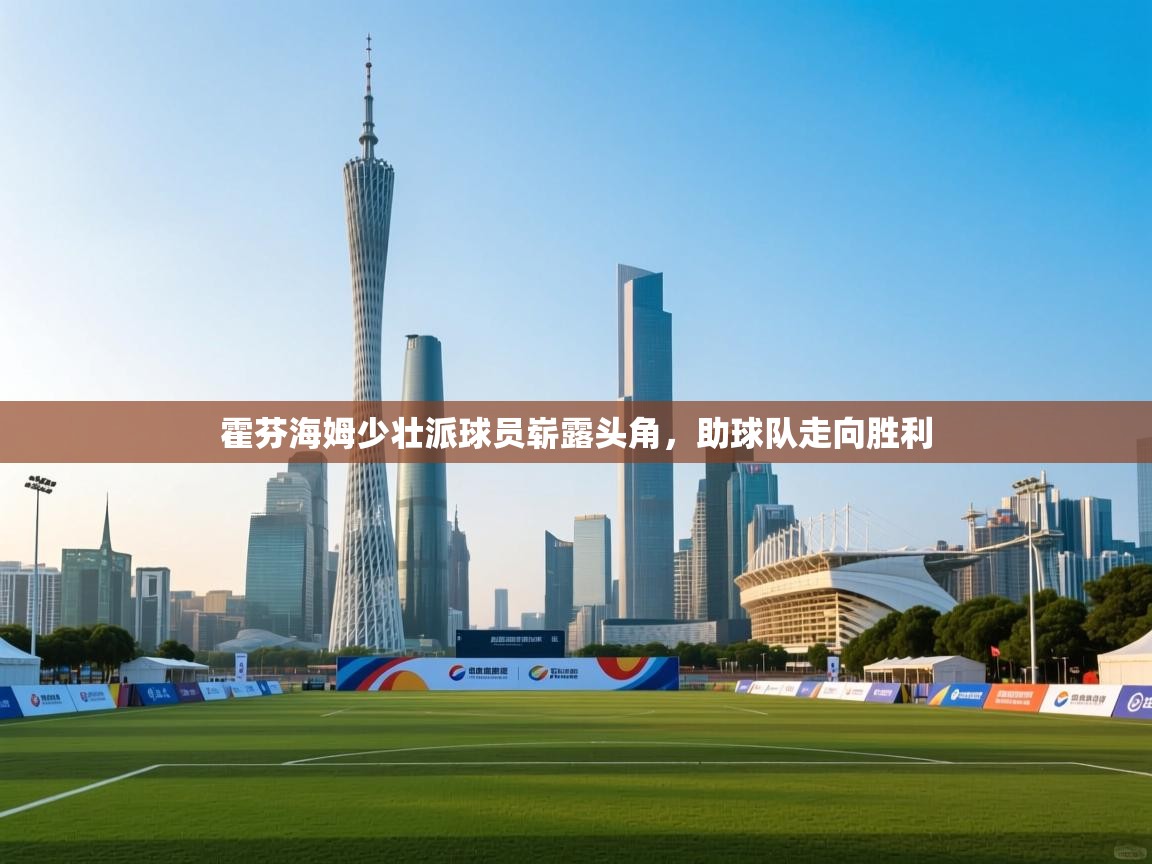 霍芬海姆少壮派球员崭露头角，助球队走向胜利  第1张